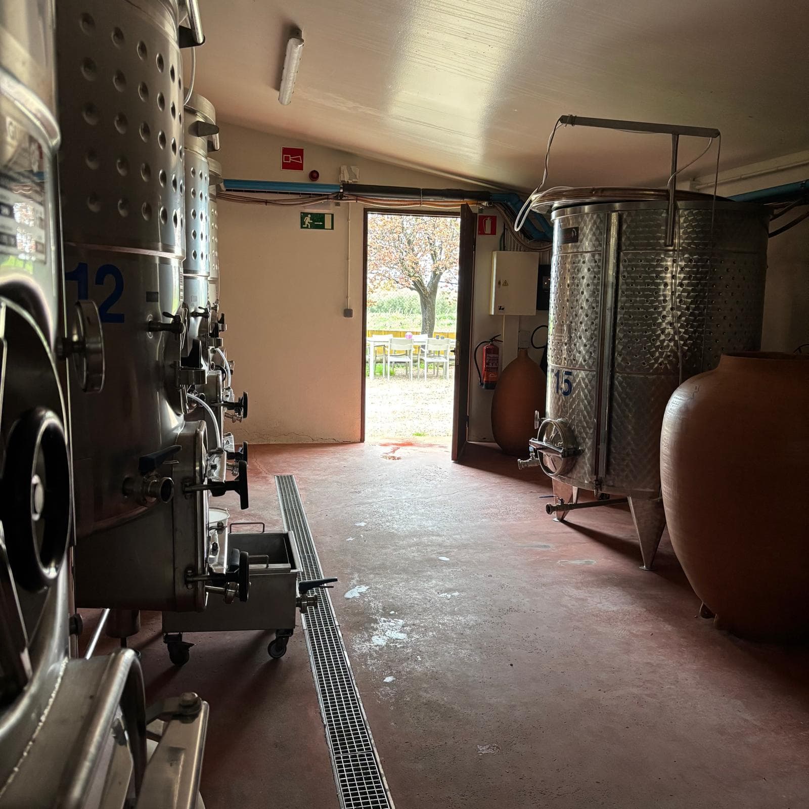 Experiència al celler