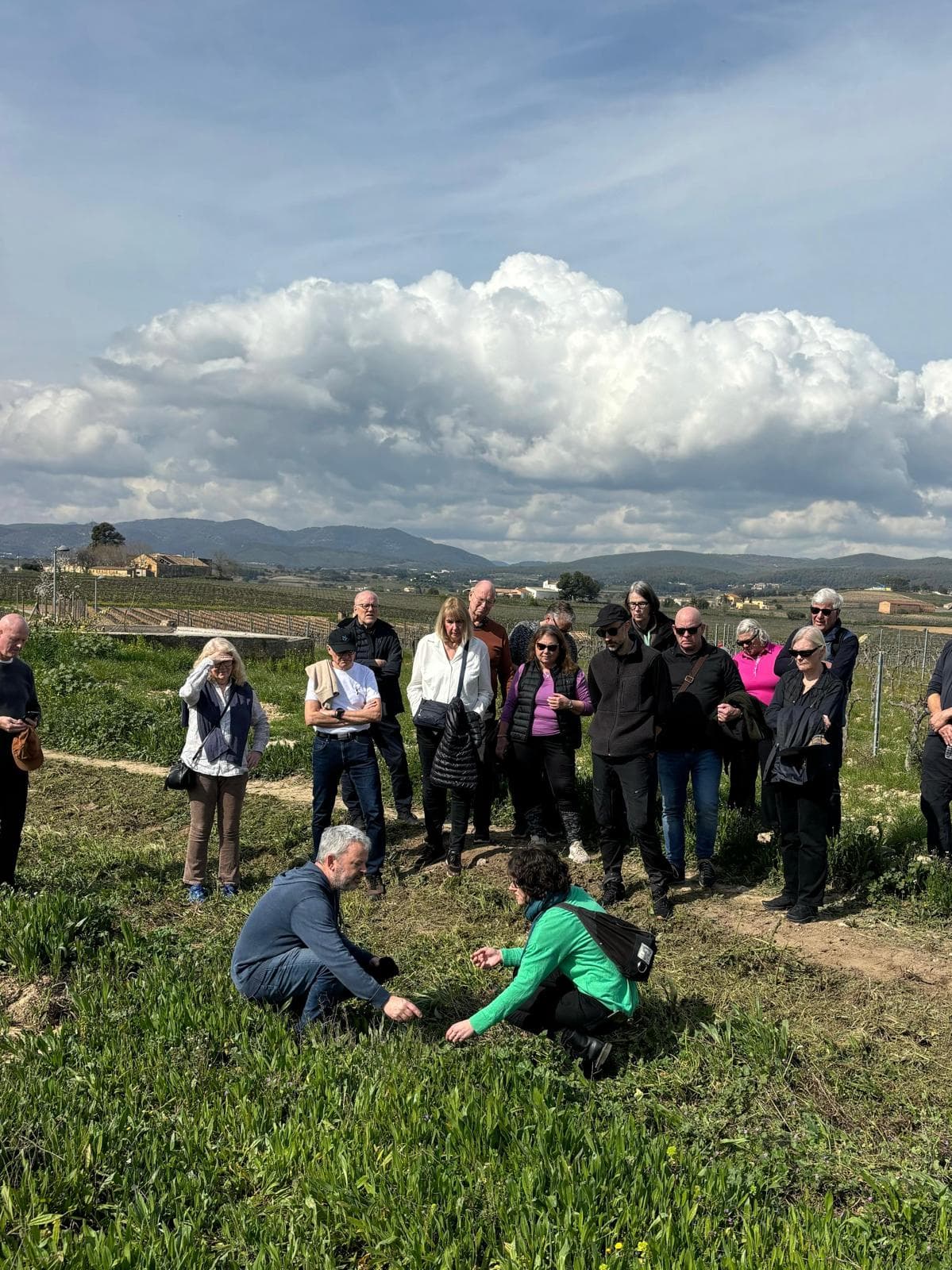 Tast de vins a la vinya Cal Tiques
